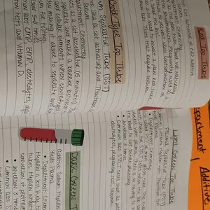 review image 3