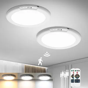 Rechargeable Ceiling Light with Remote Control, Human Body Sensing, Adjustable Color Temperature, Wall-Mounted, Ideal for Closet, Storage, Living Room