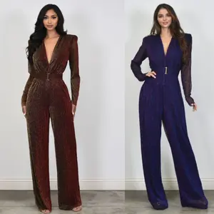 Metallic Mesh Crinkle Jumpsuit