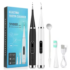 High-Frequency Sonic Toothbrush, Professional Teeth Whitening & Plaque Removal Tool, Battery-Powered Oral Care Device for Adults