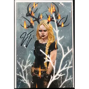 Odin #1 Cover L Variant Sebastian Fiumara Stealth Cover Signed By James Tynion IV