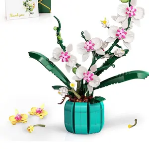 bonsai orchid building set