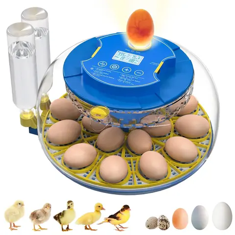AsFrost 18-Egg Incubator with Automatic Turning, Humidity Control, Transparent Dome 360° View, Auto Water Adding & Egg Candler for Hatching Chickens (Reptile & Amphibian Temperature Supply)