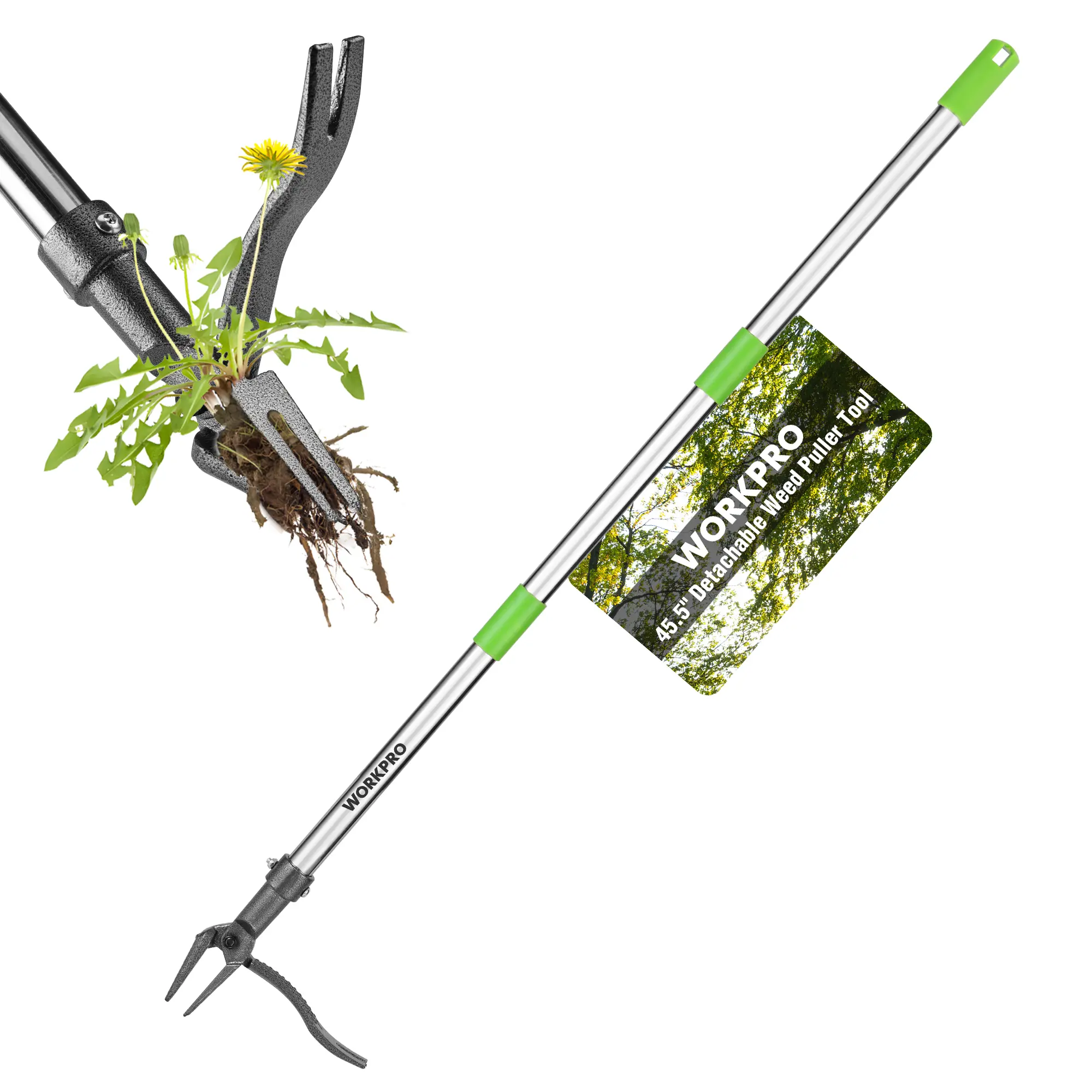 #summersale WORKPRO Weed Puller Tool with Long Adjustable Handle (33", 46"), Stand Up Heavy Duty Weed Remover- 4 Claw Steel Head & Foot Pedal for Easy Weeding, Detachable Dandelion Picker for Lawn/Yard/Garden