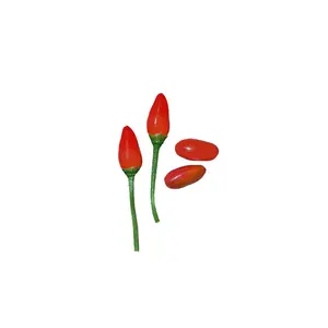 Pequin / Piquin - Bird Pepper Seeds - Tiny Peppers with Super Hot Punch