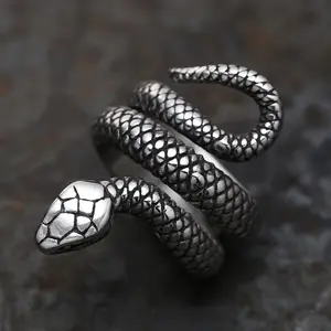 GTHIC Coiled Snake Stainless Steel Gothic Ring for Men Women Gift Size 5-16 Mystery Life Changes