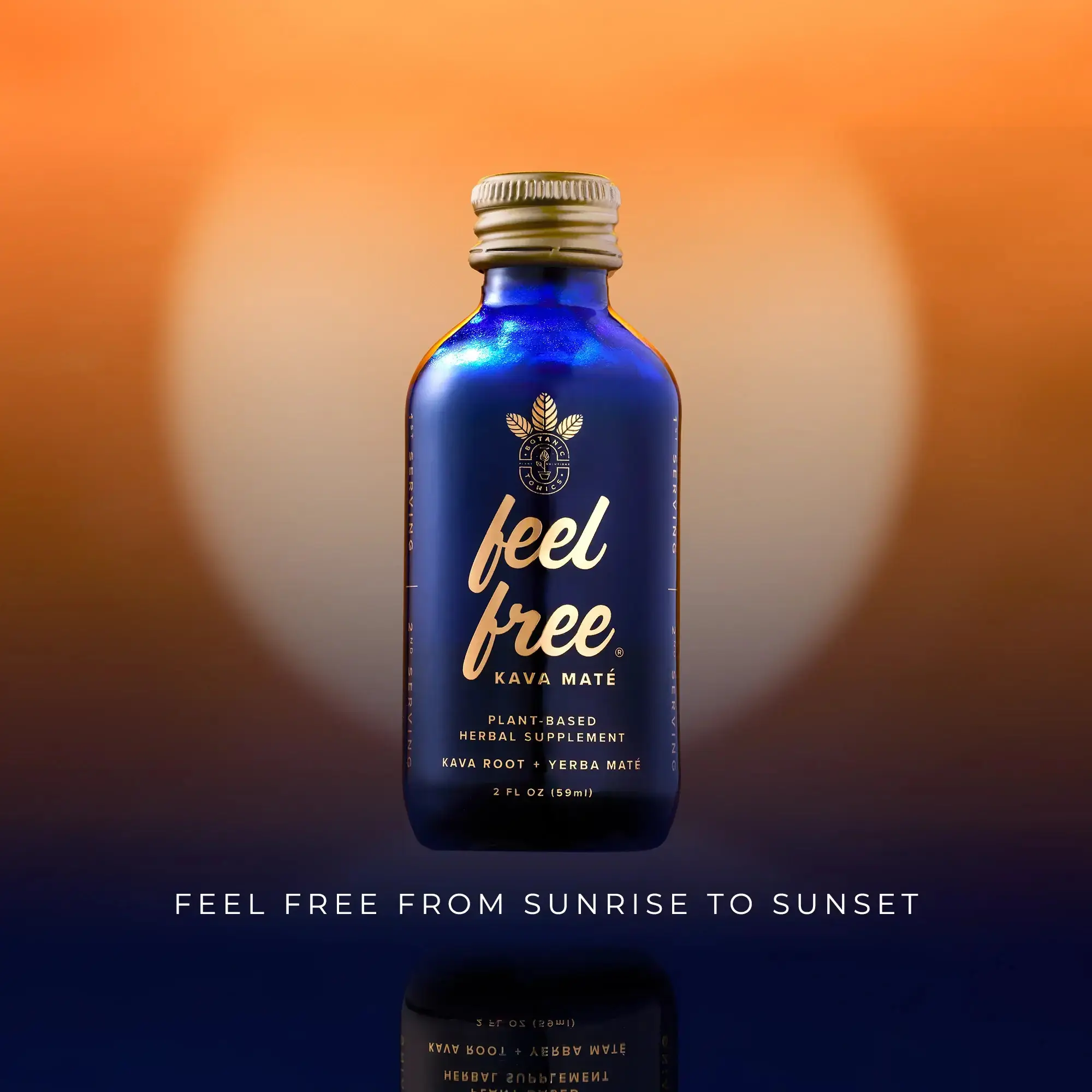 feel free Kava Maté tonic 12-Pack Case (24 Servings) | 2oz (59ml) Bottles