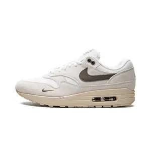 Air Max 1 "Sail Ironstone" DZ4494 100