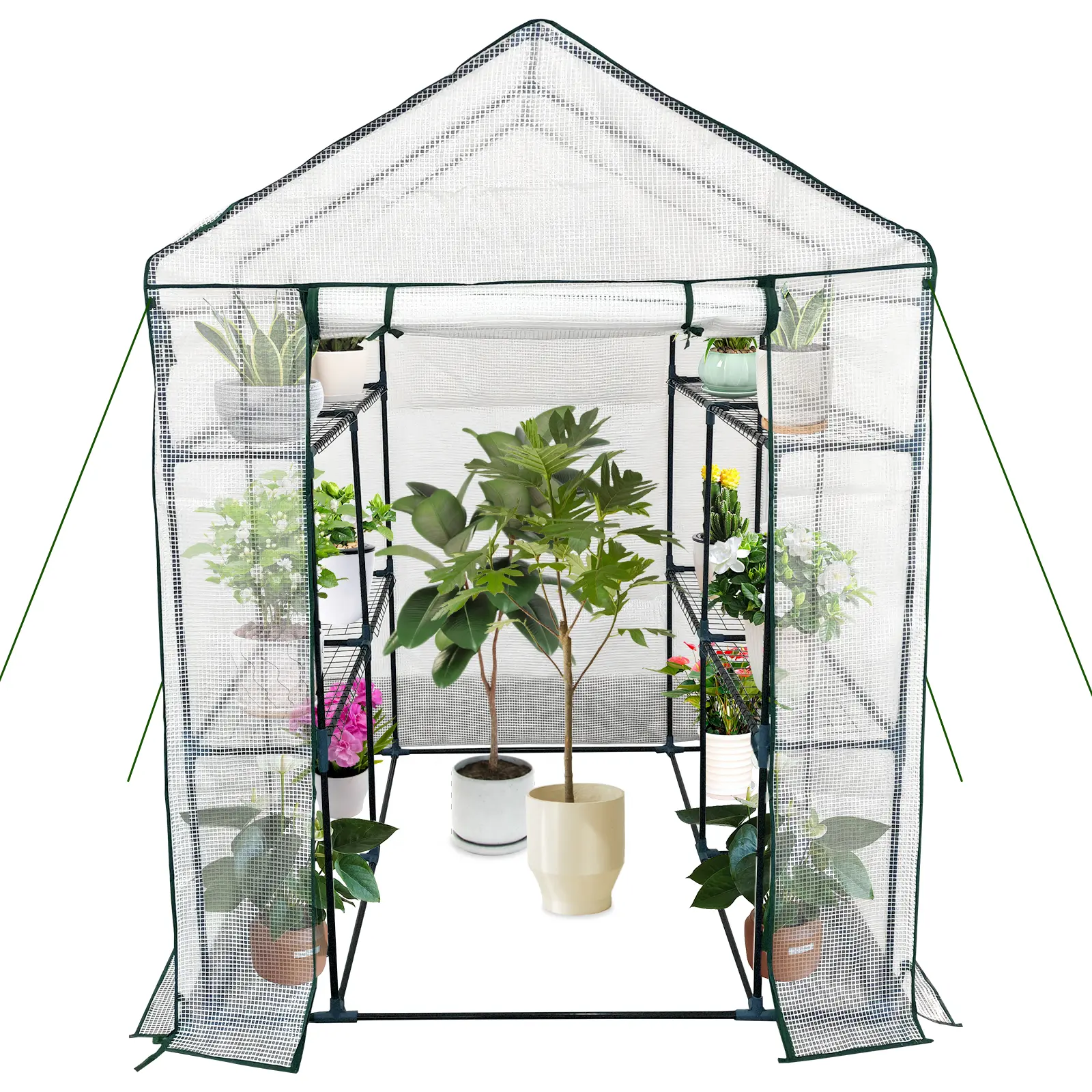 Mini Walk-In Greenhouse, Portable Flower Garden Plant Kit Outside, Heavy Duty Small Plant House With Thicken PE Cover for Garden