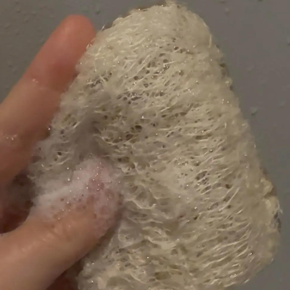 Luffa Nest Washcloth