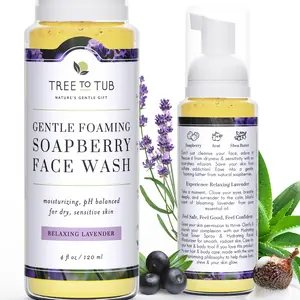 Tree to Tub Gentle Foaming Soapberry Face Wash for All Skin Types - Hydrating Daily Facial Cleanser with Organic Aloe Vera & Natural Lavender Scent