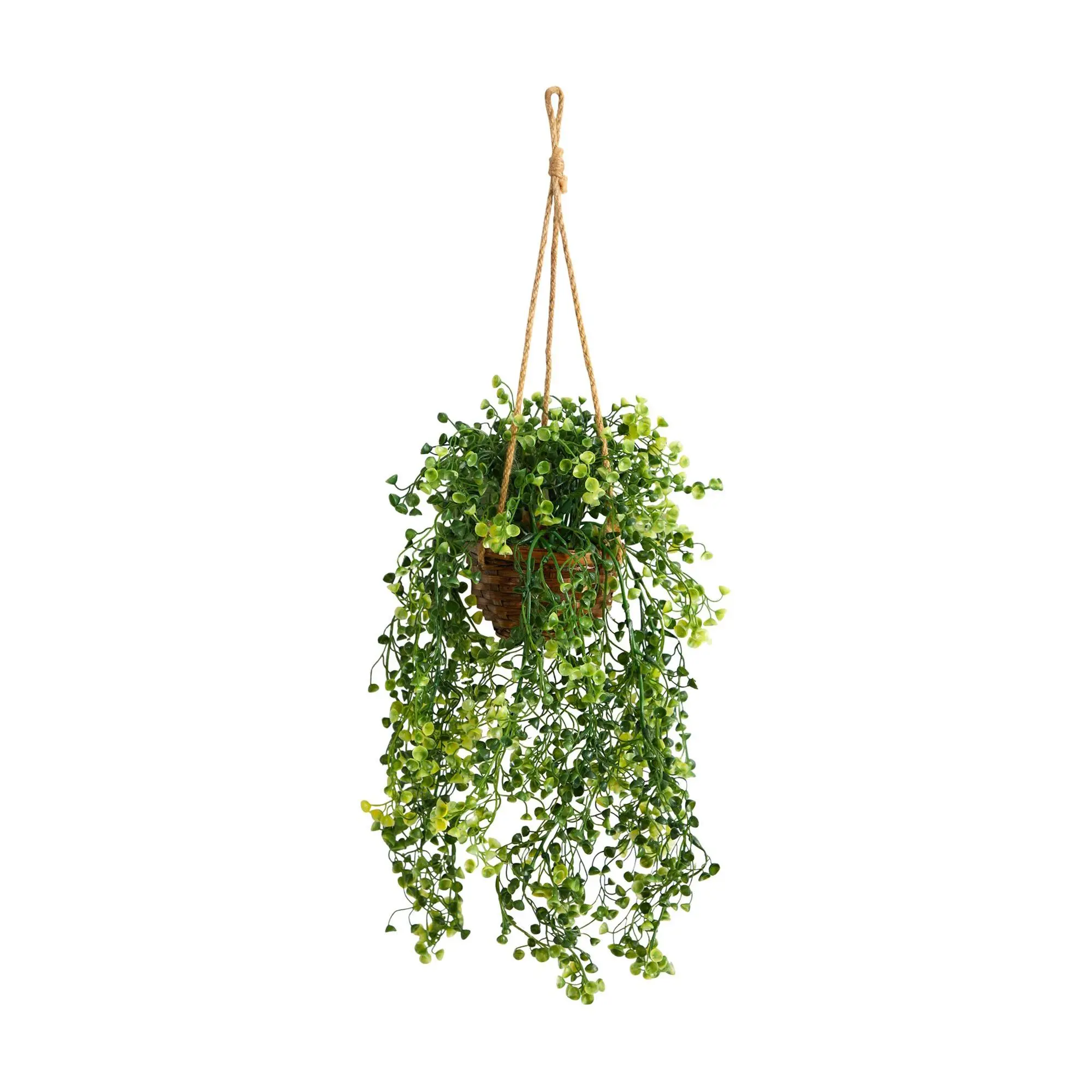 Nearly Natural 20" Baby Tear Plant in Hanging Basket Nearly Natural 20" Baby Tear Plant in Hanging Basket