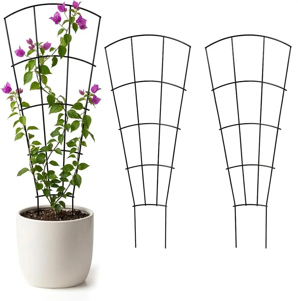 ARIFARO 4 Pack 56" Metal Plant Trellis for Pots & Garden Raised Beds, Rustproof Support for Indoor Outdoor Climbing Plants, Vines, Flowers, Fan Shaped, Black