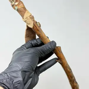 12” Celestite, Aventurine, Citrine, Arkansas Inclusion Quartz, Recycled Leather Handcrafted WAND Unique Artisan Crafted Design