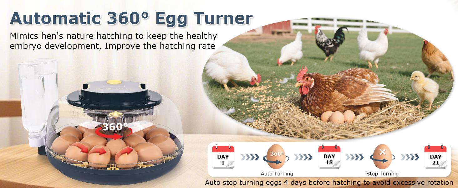 18-Egg Incubator — Fully Automatic Egg Turning & Water Refilling; Features Digital Temperature & Humidity Display, Incubation Countdown Timer, and Built-in Egg Candler; 360° Panoramic Viewing Design; Suitable for Incubating Chicken, Duck, and Quail Eggs.