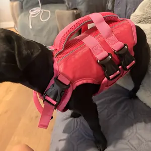 Kuoser Dog Life Jacket High Buoyancy, Reflective Dog Life Vest for Swimming Boating, Adjustable Small Medium Large Dog lifejacket, Lightweight Dog Life Preserver Rescue Handle Spring Summer Pool