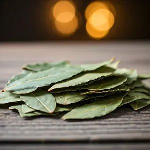 Natural Hoja de Laurel (Bay Leaves )-(1 LB)