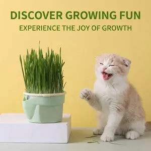 Cat Grass Growing Kit - Healthy Digestion & Hairball Control for Indoor Cats - Soil-Free & Organic