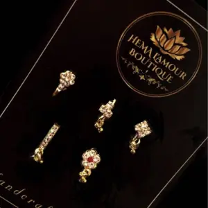 5 Piece Nose Ring Set