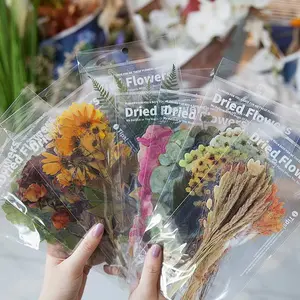 Plant-Themed Pet Stickers Set, 8 Designs for Handbooks & Journals, Easy-To-Apply Decorative Stickers, Perfect for DIY Projects