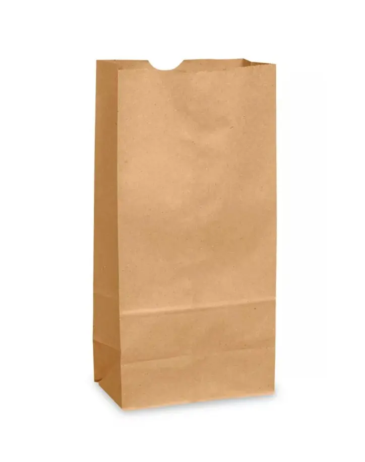 DEMAYA #4 Kraft Paper Lunch Bags, 500CT Eco-Friendly Recyclable Compostable Durable Office Stationery - Natural-Look Supplies for Gift Wrapping, Brown Paper Shopping Bag Alternative, Lunch Bag