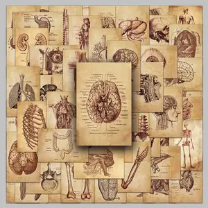 50 pcs retro human anatomy notes cartoon hand-drawn graffiti creative stickers glass calendar photo frame stickers