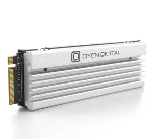 Dash Pro 8TB NVMe PCIe TLC NAND SSD with Heatsink, Compatible with Sony PS5 Internal M.2 Slot