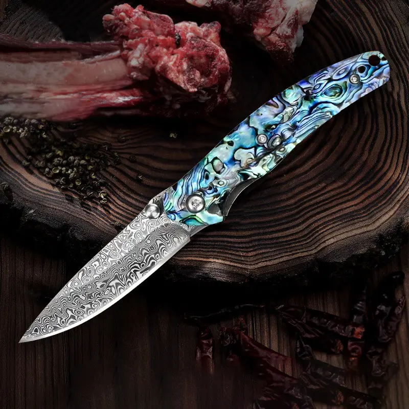 Seashine Stainless Steel Damascus Sharp Steak Knife - Ergonomic Cooking Knife with Sturdy Shell+Acryl Handle, Compact and Portable Adult Cutlery for Cutting Meat, Ideal Kitchenware Gift for Meat Lovers