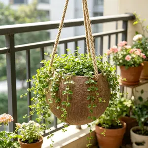 Coconut Shell Hanging Planter with Rope, Vintage Rustic Plant Pot for Restaurant Wall Decor, 3.5-5 Inch Size