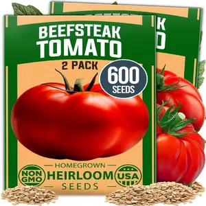 Beefsteak Tomato Seed 2Pack - 600 Heirloom Tomato Seeds for Planting Outdoors – High-Yield Non-GMO Vegetable Seeds for Growing Large, Meaty Tomatoes for Summer Dishes (Solanum lycopersicum)