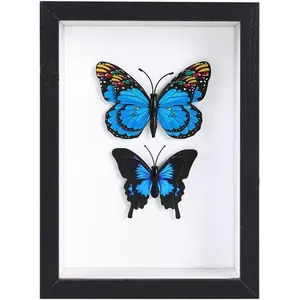 6x8 Black Shadow Box Frame Display Case for Photos,Flowers,Wedding Bouquets,Awards,Insects and Memorabilia