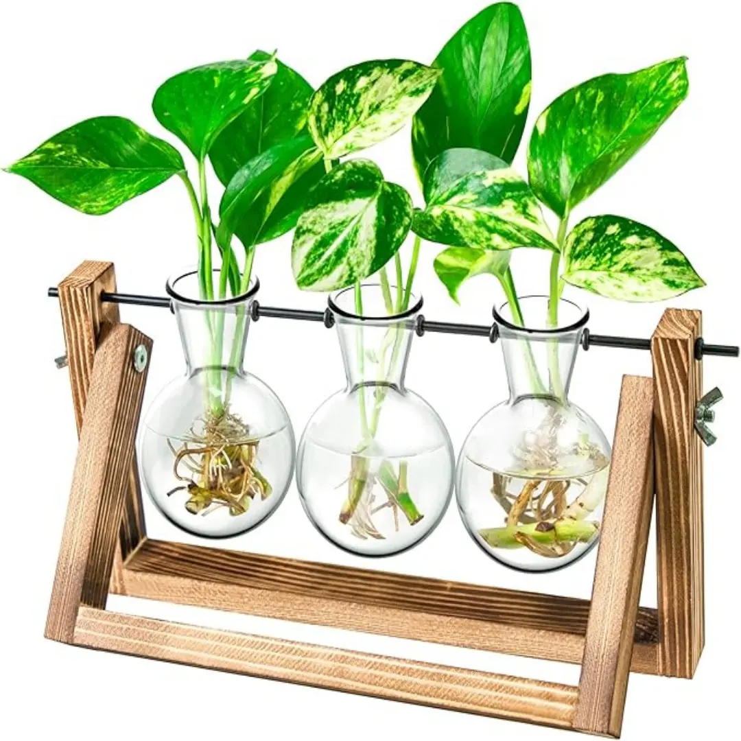 Indoor Mixed-Materials Glass Terrarium Kit - Elevated Planting Boxes, 3-Bulb Cutting Holder Trio, Portable Propagation Tool, Home Decor Accessory, Ideal Gift for Women & House Warming Present for New Home Enthusiasts, Plant Growing Kit