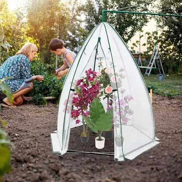 54”X 54”x 71”Portable Greenhouse for Winter Gardening with Zippered Door Mesh Window- Transparent PE Pop Up Plant Protector Cover for Heat Preservation in Backyard.