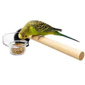 Suction Cup Bird Feeder with Perch - Clear Window Mounted Feeding Station for Parrots & Small Birds | Easy Access & Clean Design,feeder