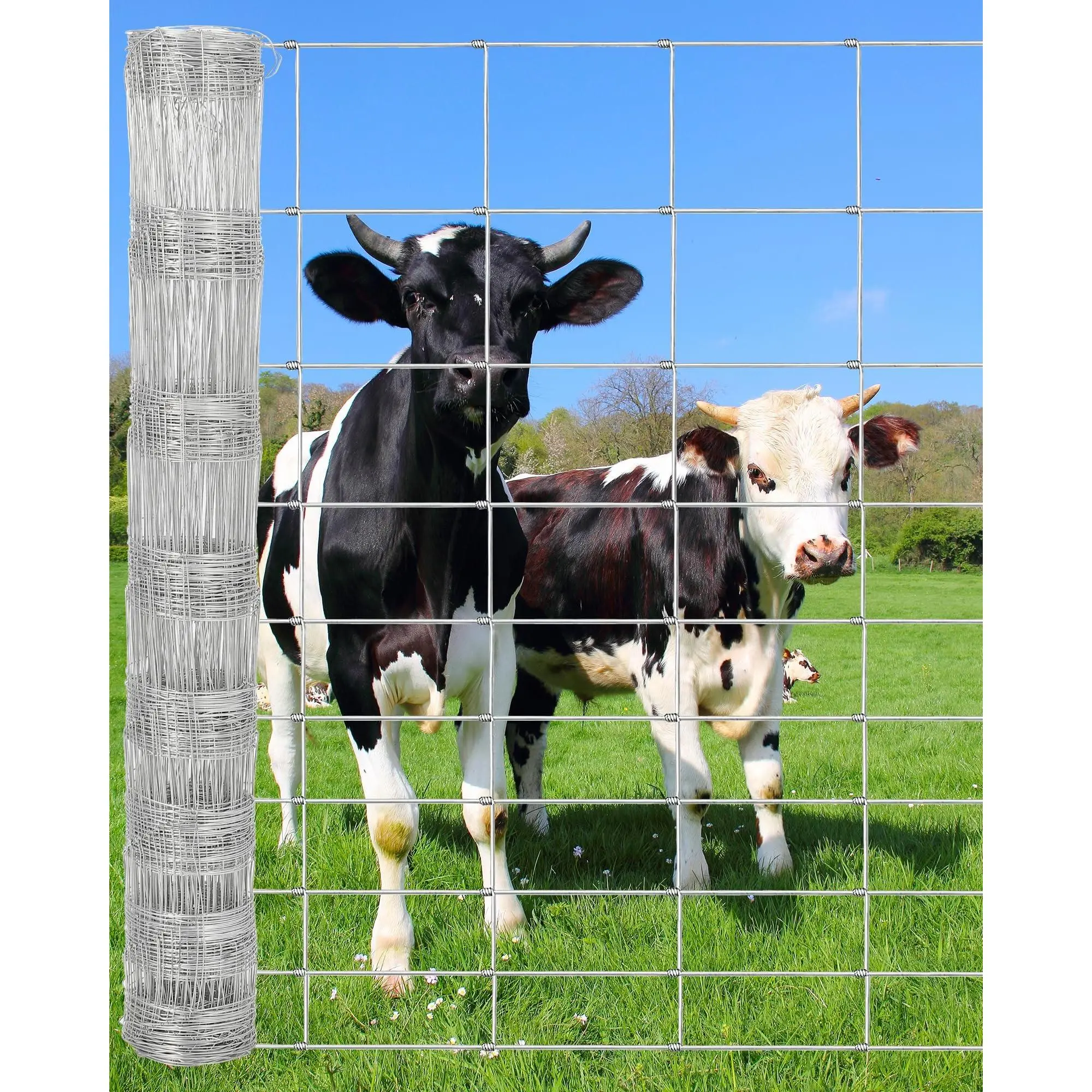 Garvee Heavy Duty Galvanized Livestock and Farm Fencing, Various Sizes (4Ft to 6Ft x 164Ft to 328Ft), Durable Welded Wire and Zinc Coated Mesh for Cattle, Goats, Deer, Sheep, Poultry, Yard, Garden, and Field Protection