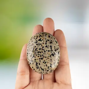 Dalmatian Jasper Palm Stone, Polished Crystal Stone for Chakra Balancing, Meditation, Spiritual and Crystal Gift