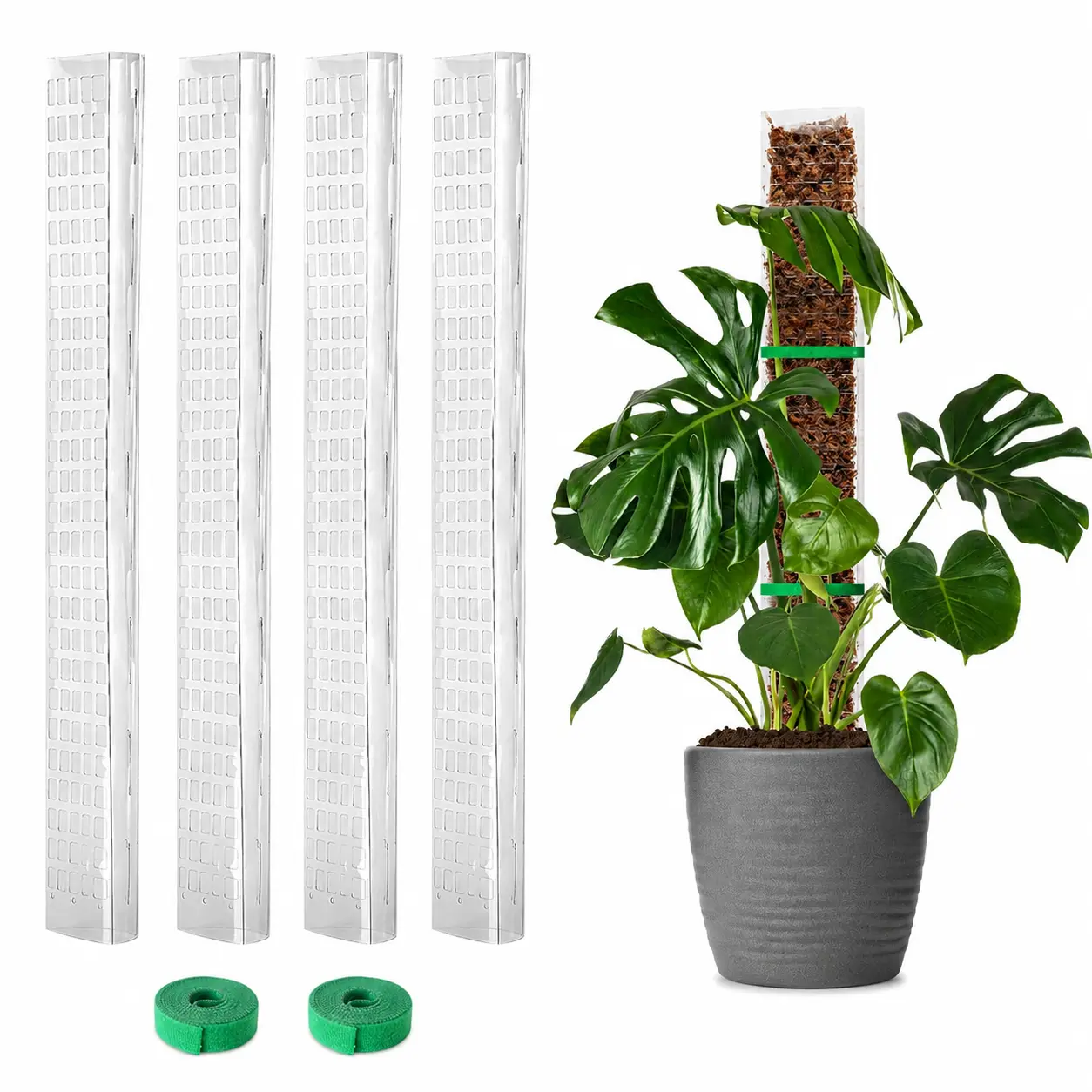 4-Pc D-Shaped Plastic Moss Pole Set, 24-Inch Flat Surface Supports Growth for Monstera & Climbing Plants, 90-Inch Total Plant Stakes with Garden Ties (Works with Sphagnum Moss), Quick Setup