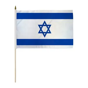 Israel 12x18in Stick Flag