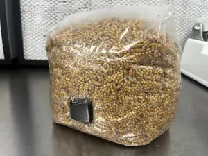 Pre-Sterilized Grain Bag (Injection Port Included) - 3 Pack