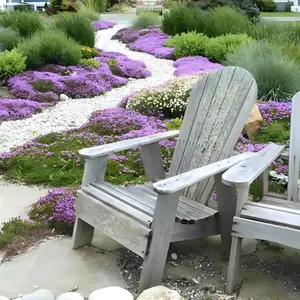 1000 Pcs Creeping Thyme Seeds – Low-Maintenance, Fragrant Ground Cover Ideal for Borders, Slopes, and Garden Paths – Seeds Only