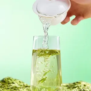 Tea Tips/Green Tea Single 8g 2024 New Tea Sample Pack