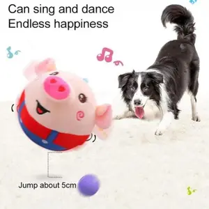 Wait Till You See This Pig Toy Bounce & Sing for Your Dog!
