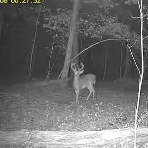 [mothersdaygift]4G LTE Wireless Solar Powered Security Camera CB114S – 2K HD Live View 360° Coverage, No WiFi, Remote APP Controlled, WaterProof, Motion Activated, Night Vision, Outdoor, Data refill is required for Unlimited 4G data usage