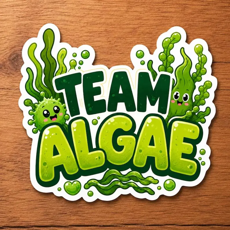 Let’s Go Algae Sticker, Cute Green Slime Science Club Decal