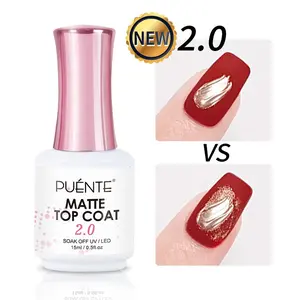 PUENTE 15ML Matte Top Coat 2.0 Gel Nail Polish non stick powder Velvet Finish Sealer top coat Chrome Isolation Gel Polish for Nail Art Painting nail polish gifts soak off UV LED Long Lasting Manicure DIY Gift for Women