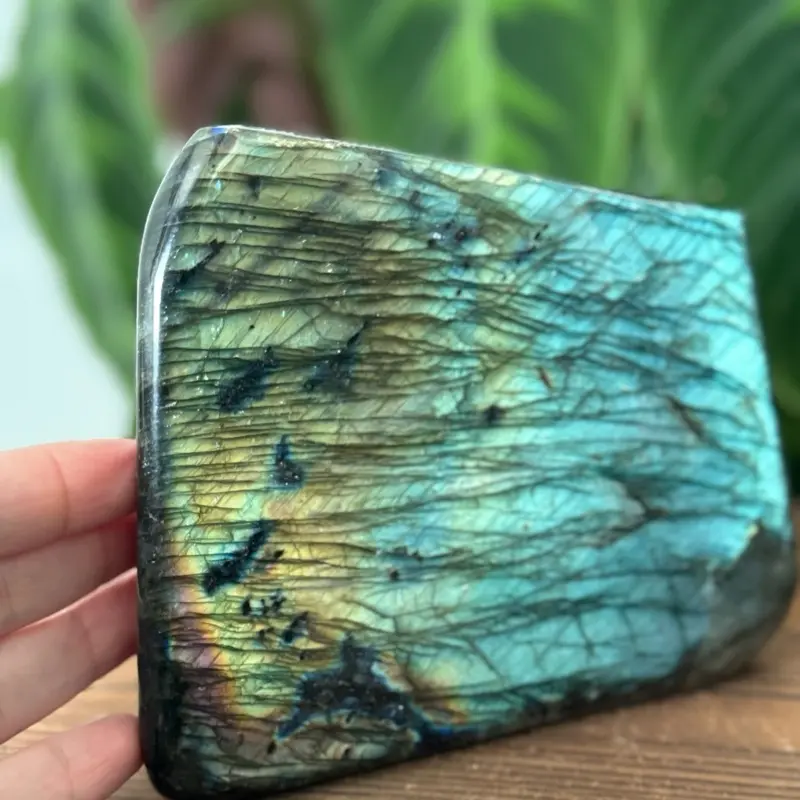 Freeform Labradorite Polished with Flash - Natural Blue Labradorite Stone for Healing & Decor