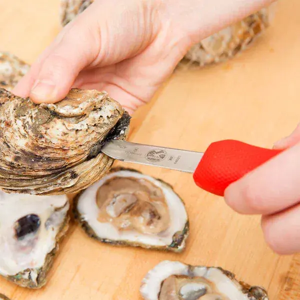 Victorinox 7.6399.3 2 3/4" Stainless Steel New Haven Style Oyster Knife with Red SuperGrip Handle