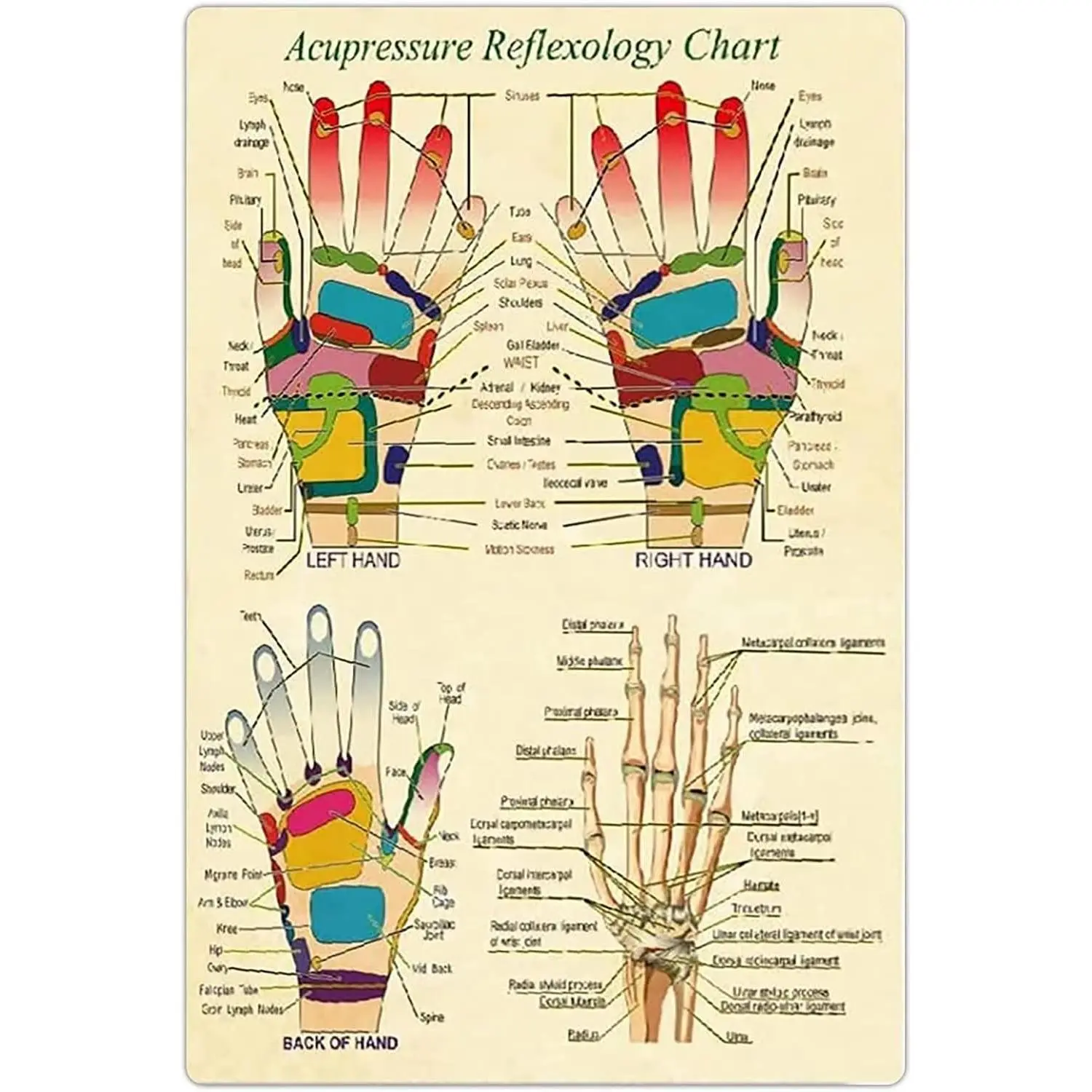 Acupressure Reflexology Chart Metal Signs Vintage Reflexology Guide Retro Posters Massage Therapist Office Educational Plaques Clinic Home Room Wall Decor 12x16 Inches
