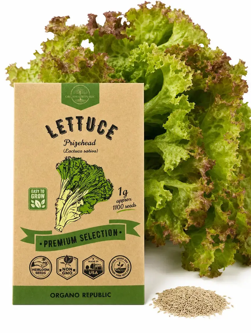 Prizehead Lettuce Seeds – Non-GMO Heirloom