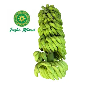 Racimo de Platano
